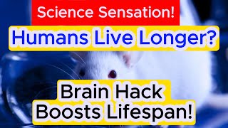 Mice Party, Humans Live Longer!? Brain Hack Boosts Lifespan! |