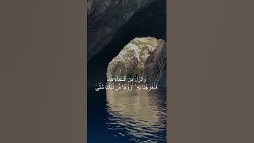 #تلاوة_خاشعة #اكسبلور #المصحف #قرآن #راحة_نفسية #الرحمن #القرآن_الكريم #صلاة #تلاوات