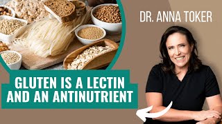 Gluten is a Lectin and an Antinutrient.