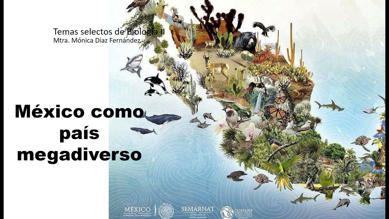 Por Qué Se Dice Que México Es Un País Megadiverso