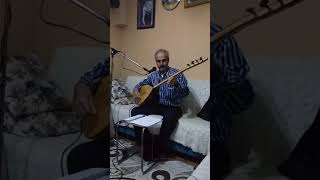 Bir Yiğit Gurbete Gitse