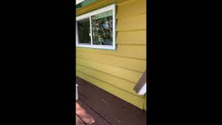 675 Cedar Lane Guided Tour Movie