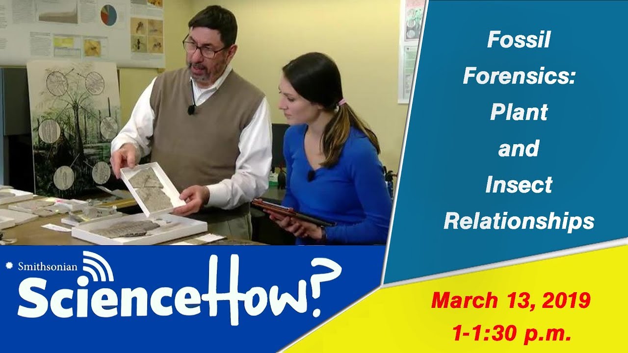 March 13 — Fossil Forensics: Plant and Insect Relationships with Paleobiologist Conrad Labandeira