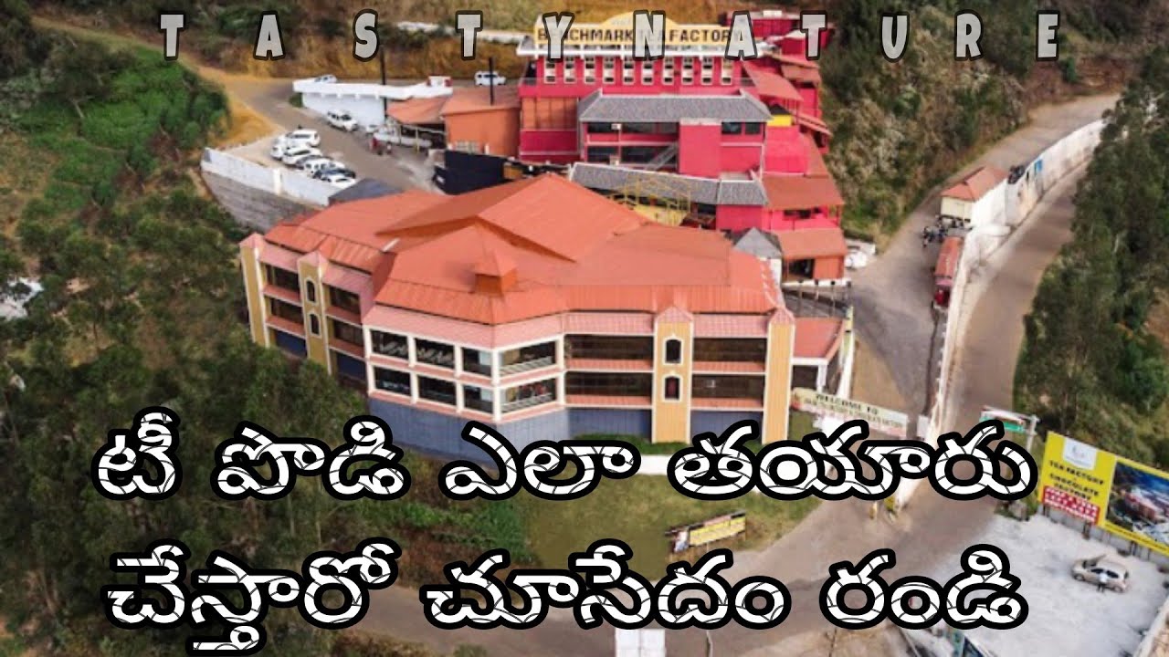 Inside Ooty's Secret Tea Factory