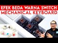 Mengenal Efek Beda Warna Switch Mechanical Keyboard - Feat. Cherry MX Keyboard