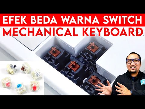 Mengenal Efek Beda Warna Switch Mechanical Keyboard - Feat. Cherry MX Keyboard