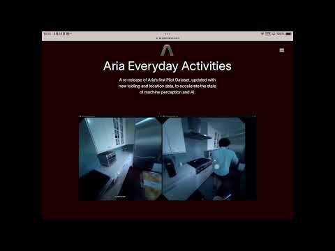 AEA 数据集：由Meta团队开发