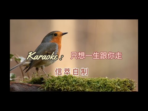 Karaoke 只想一生跟你走