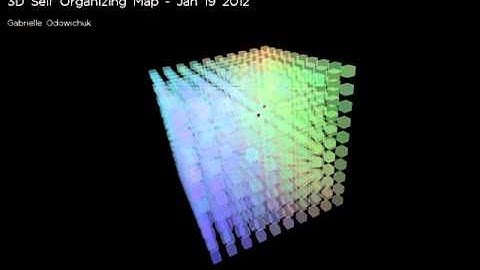 Animation of a 3D SOM