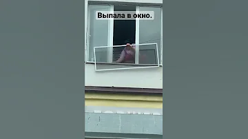 Женщина ставила москитную сетку и выпала в окно. Таксист поймал летящую из окна большую женщину.