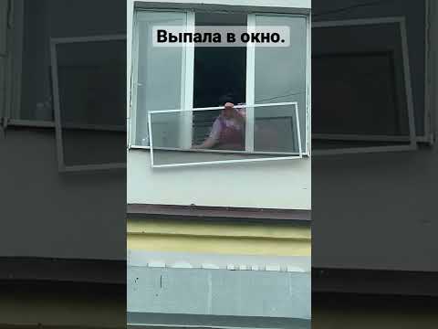 Видео: Законодательство штата Мэриленд запрещает магазины для животных, продающих «щенок»