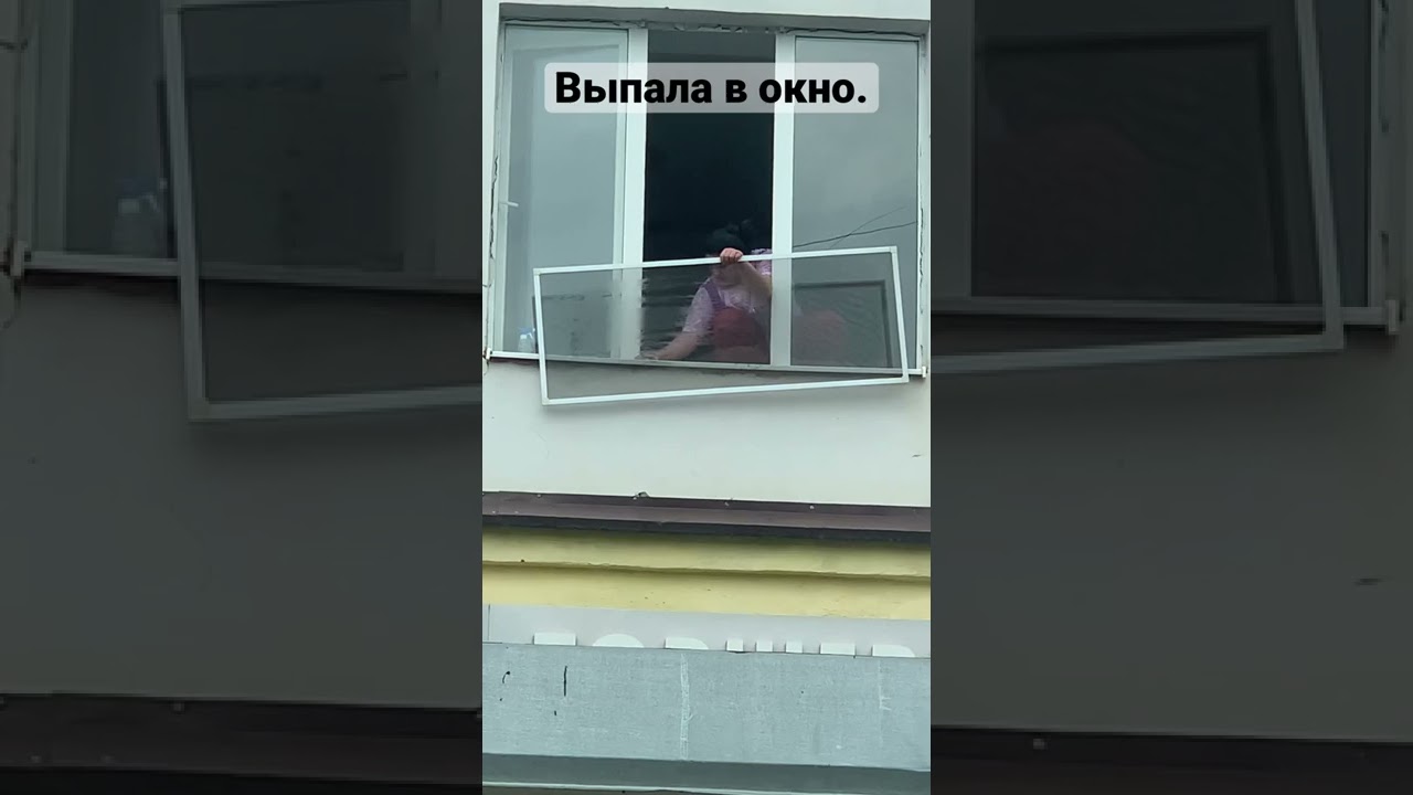 Женщина ставила москитную сетку и выпала в окно. Таксист поймал летящую из окна большую женщину.