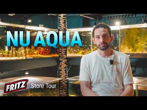 NU AQUA: Setting a New Standard for Fish Stores