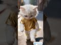 افتكرت إنهم سابوها والنهاية مرعبة Creepy Reels Shorts Viral LikeAndSubscribe Cat Funny ضحك 