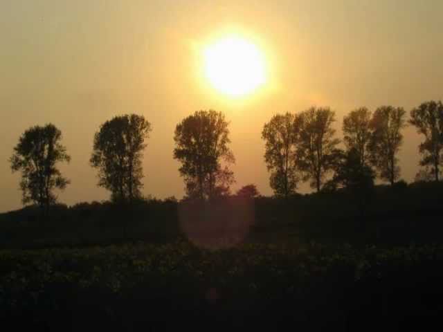 TAIJI forever - Dear Angel ( otokaze ) [ Audio Track ] - YouTube