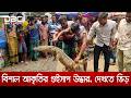 ভোলার তজুমদ্দিনে ৭ ফুট ৬ ইঞ্চি লম্বা বিরল প্রজাতির গুইসাপ উদ্ধার | Guisap | DBC NEWS