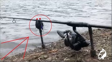 Carp Run COMPILATION 2020! PART 54!