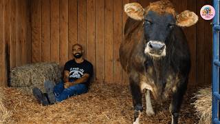 Forgotten For 19 Years, Helen The Blind Cows Life Changed Forever When She Heard This Song