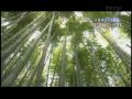 素敵な宇宙船地球号(2009年5月24日)