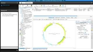 Geneious R7 (part II) Net Worth