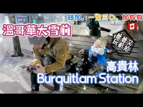 【溫哥華大雪前】高貴林 Burquitlam Station 附近實況｜2024