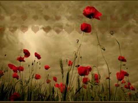 Ahmed Bukhatir - Madinaty Shariqah (for my sis Najima)