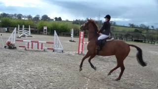 Tushingham Arena BSJA, Courtney & Bernie, 9-4-16