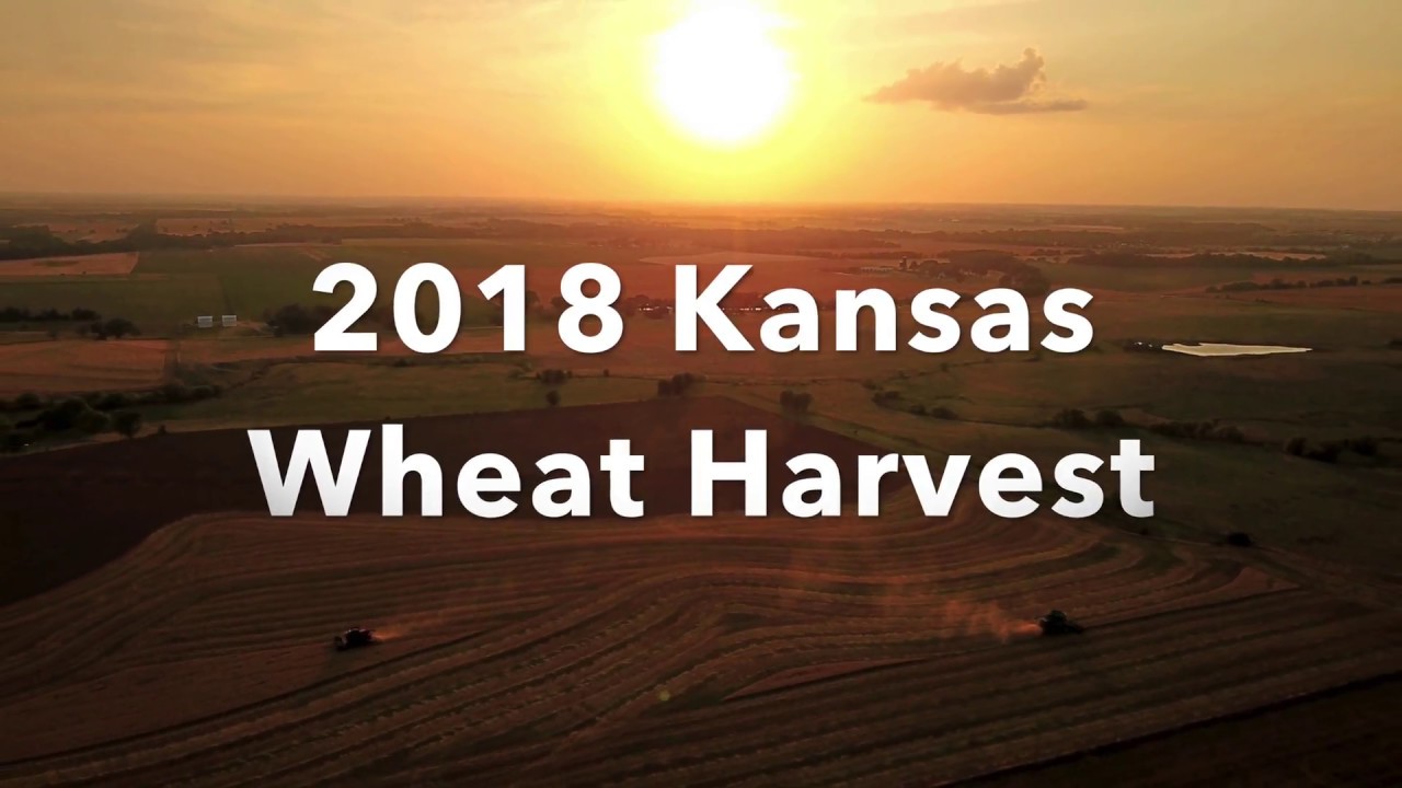 2018 Wheat harvest in Kansas from the Air YouTube