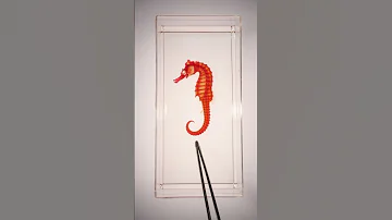 Seahorse Dyed Specimens Are Crazy 