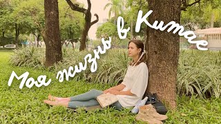 Живу в Китае | пробую таро, йога в парке, делюсь личным и новостями | Guangzhou vlog