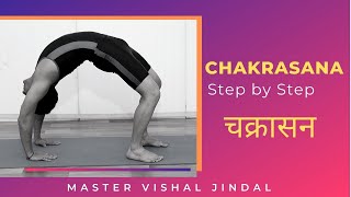 How to do  Chakrasana चक्रासन  Master Vishal Yogi