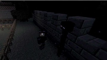 -EnderBoy Miner Intro-