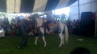 UNA MULA MONTANDO UN CABALLO UNA PLEBE DE MAZATLAN EN SANTA MARIA ASUNCION HGO.mp4 UNA MULA MONTANDO UN CABALLO UNA PLEBE DE MAZATLAN EN SANTA MARIA ASUNCION HGO.mp4