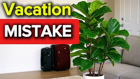 Before You Travel... Do This or Your Plants Will Die