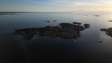 Distancify WorkFunWeek - Sweden 2025