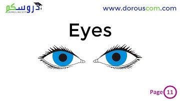 English 2 AM / sequence 1 / I listen and do : Tasks 1 and 2 / page 11