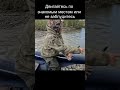 Основные ошибки на рыбалке#рыбалка#fishing#приключения