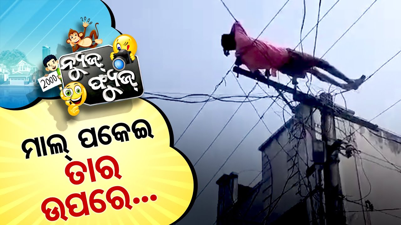 News Fuse 03 JANUARY 2025