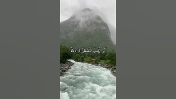 واتس اب قران كريم القارئ ياسر الدوسري من سورة (النمل)