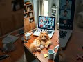 Cat Crashes Zoom Meeting and Gets Boss Purr-moted! 😹🎉