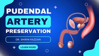 Why Preserving the Pudendal Artery During Robotic Prostate Surgery is Critical | Dr. Shirin Razdan
