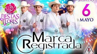 Marca Registrada Fiestas de las Flores Nogales Sonora 2023