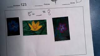February Performance Task  Flowers   SD 480p
