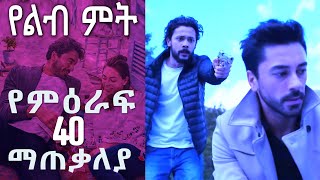 የምዕራፍ 40 ማጠቃለያ