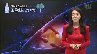 OT [EBS 2019 수능특강] 조은희의 생명과학Ⅰ