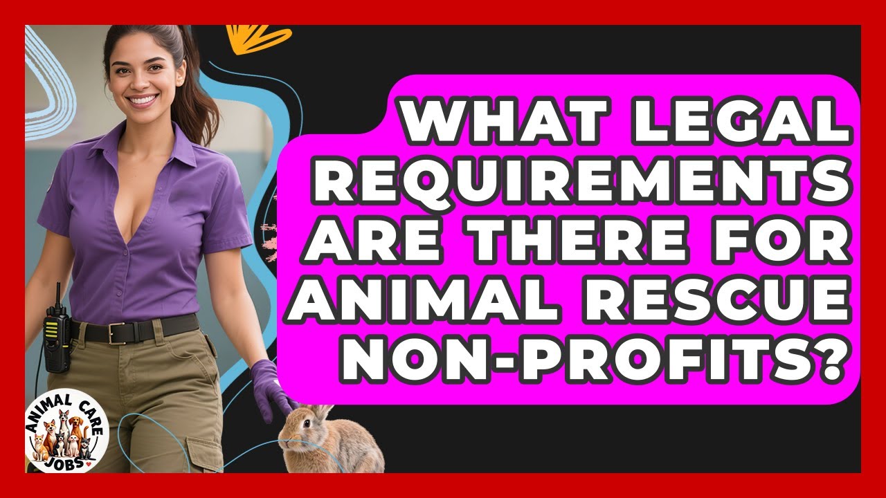 What Legal Requirements Are There For Animal Rescue Non-profits? - Animal Care Jobs