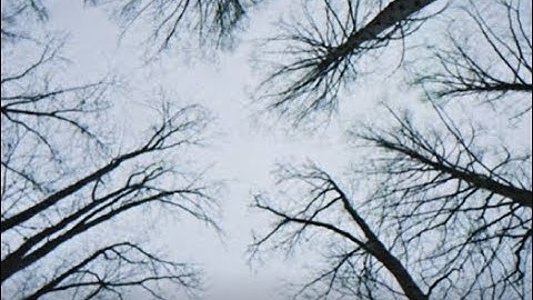 kiwi "You" (Official Music Video)