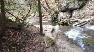 Appalachian Trail 1