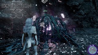 Esoteric Ruins Paint Cage Solution | Clair Obscur Expedition 33