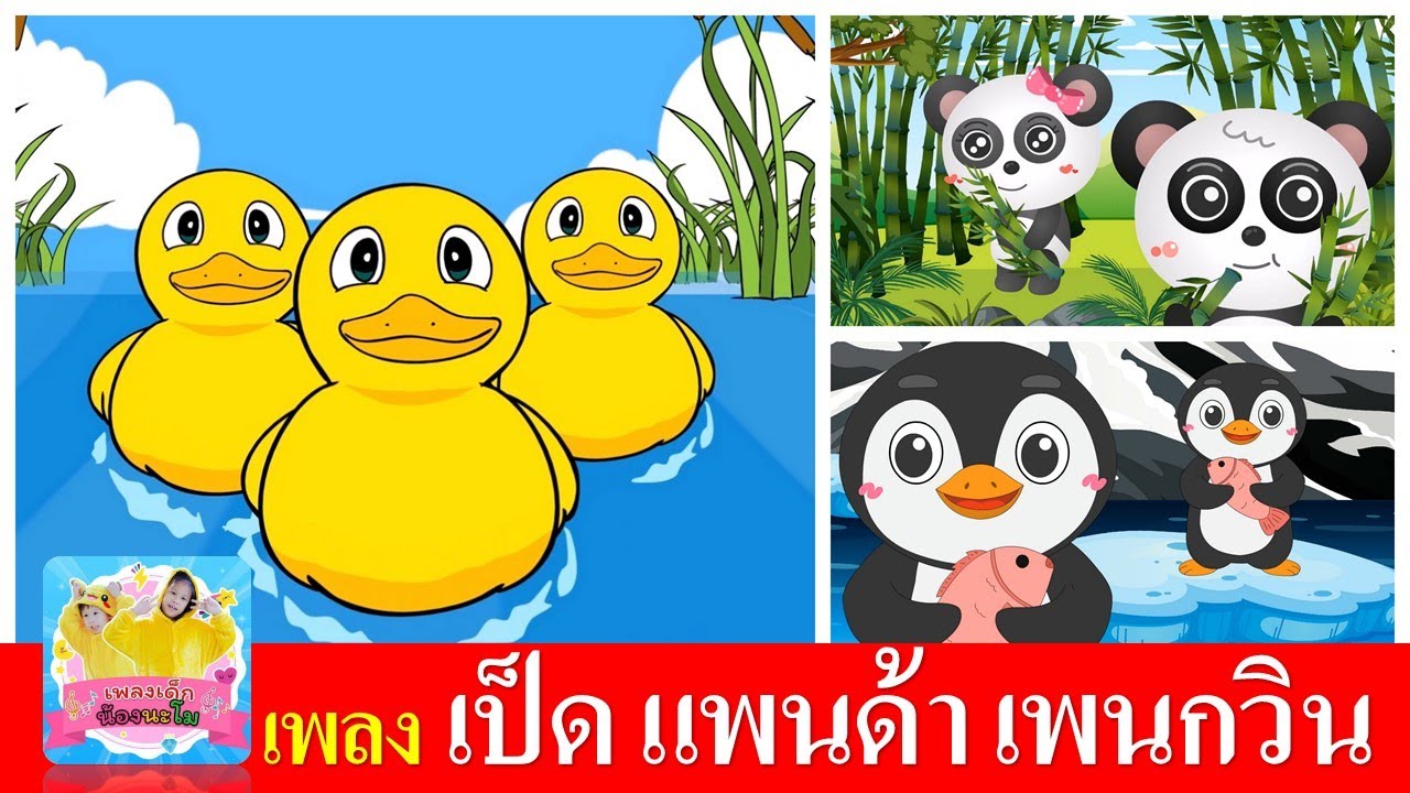 เพลงเด็กอนุบาล เป็ด แพนด้า เพนกวิน | เป็ดอาบน้ำในคลอง | หมีแพนด้า | นกเพนกวิน